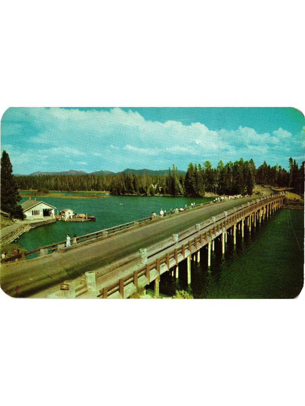 Fishing Bridge Yellowstone River Postcard Late 20th Century Genuine Color